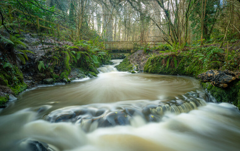 Enchanted Waters Of Crawfordsburn Forest