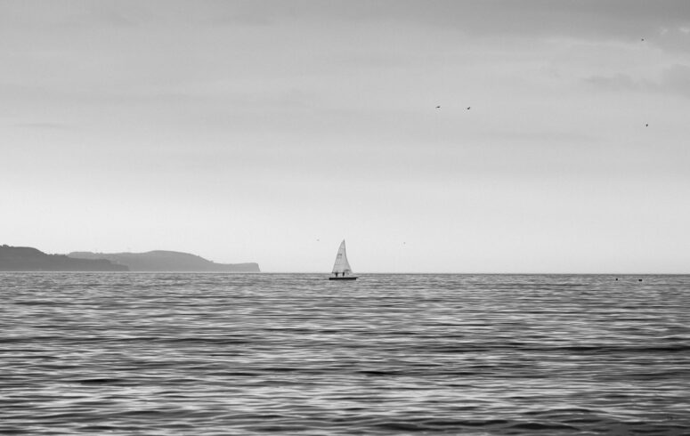 Solitary Sail At Ballyholme