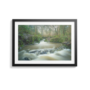 Enchanted Waters Of Crawfordsburn Forest - Photography By Dario Lemos For The Shot NI